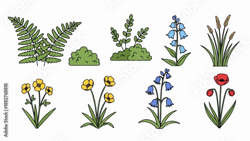 Collection of stylized botanical illustrations fern, bushes, bluebells, poppies, buttercups, cattails