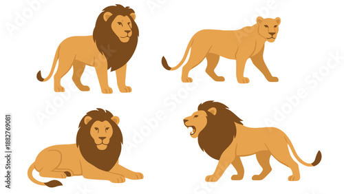 A group of cartoon lions in various poses on a white background illustration