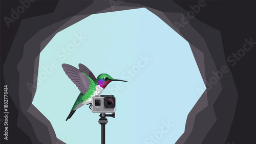 Bird captured on camera, framed by dark cave opening, light blue background