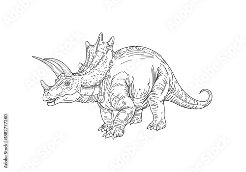 A Triceratops dinosaur, a black line drawing on a white background.