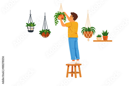 Man arranging hanging plants in a brightly lit room