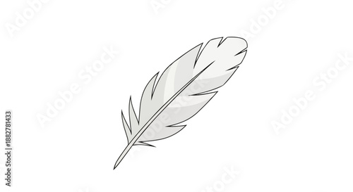White Feather Illustration - Soft, Light Bird Plumage Graphic Element on White Background