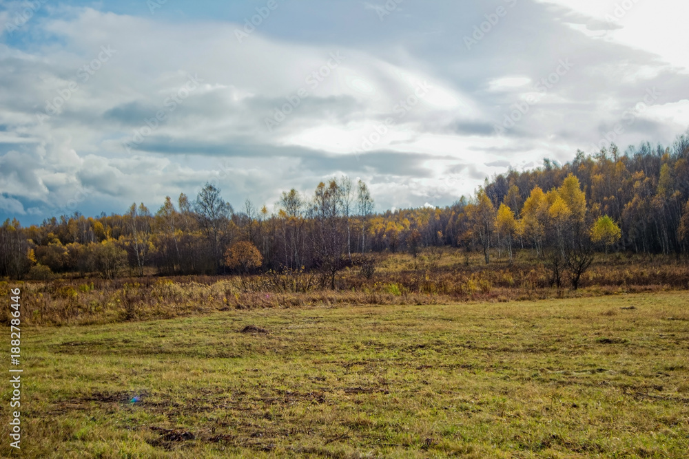 Obraz premium A mown field in late autumn on a cloudy day