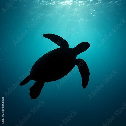 vector illustration of an underwater world