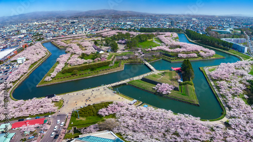 High angle view of star-shaped fortress park with full bloom cherry blossoms in spring (Hakodate, Hokkaido, Japan)