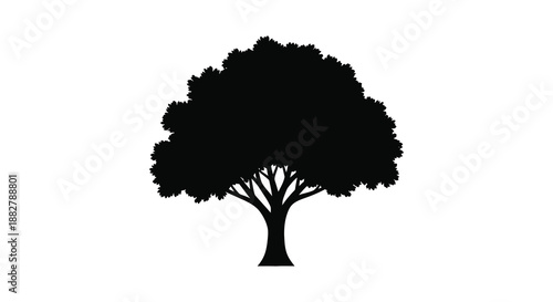 a striking black tree silhouette against a clean white background showcasing a detailed and stylized form of nature s beauty silhouette