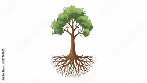 Stylized illustration of a healthy green tree with a full canopy of leaves and a large, exposed circular root system below the trunk.