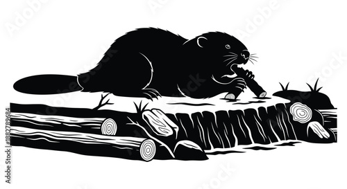 a detailed black and white illustration depicts a beaver diligently chewing on a log showcasing a rustic woodland scene silhouette