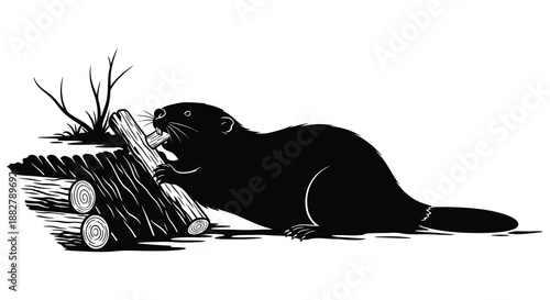 a detailed black and white image depicts an animal possibly a beaver carrying a log across a water surface silhouette