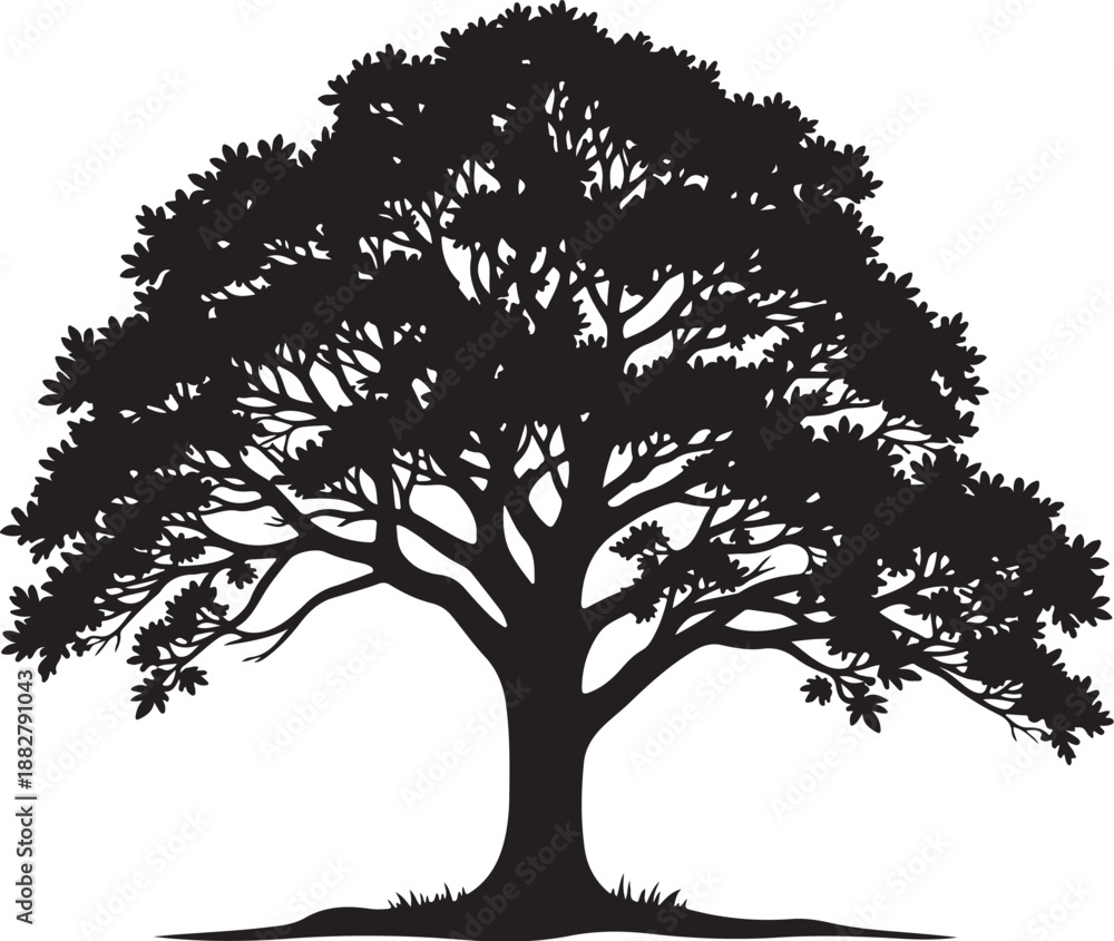 Obraz premium Majestic Oak Tree Silhouette CollectionOak Tree Black Silhouette Vector SetNature Oak Tree Silhouettes Illustration