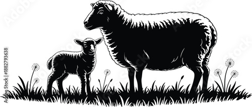 Monochrome ewe and lamb standing in grass field illustration vector graphic livestock farm animal mother with baby sheep in pasture springtime rural scene for agricultural business marketing materials