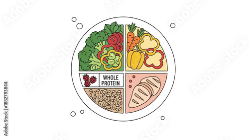 A Healthy Plate: Visual Guide to Portioning Balanced Nutrition For Optimal Wellness