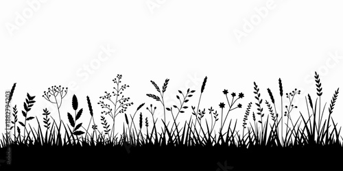 Silhouetted meadow plants and grass vector illustration in elegant black and white design beautiful floral field with variety of blades stems leaves for nature themed posters invitations cards website