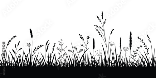 Silhouette of meadow grasses and wild herbs on white background black and white floral illustration for rustic wedding invitation template organic food packaging design natural cosmetics branding rura