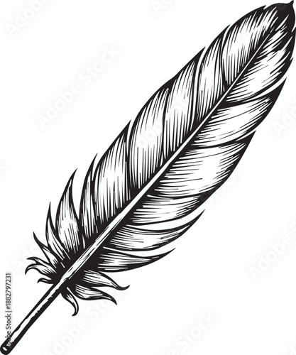 A close-up, intricate illustration of a singular feather, meticulously detailed to showcase its elegant structure and delicate beauty.