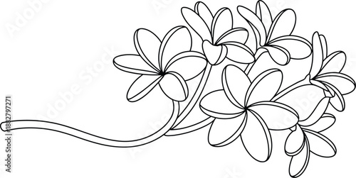 Elegant frangipani flower outline illustration in minimalist style blossoming plumeria floral design element for wedding invitations greeting cards and tropical themed decoration line art botanical dr