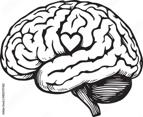 A detailed grayscale illustration presents the human brain, with a heart shape centrally integrated, symbolizing the connection between intellect and emotion.