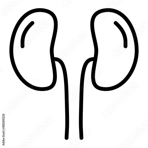 line icon of human kidneys.