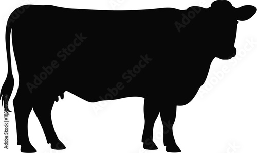 Black silhouette of a cow standing calmly in a white studio background domestic farm animal livestock beef cattle dairy mammal silhouette for agricultural marketing materials veterinary presentations