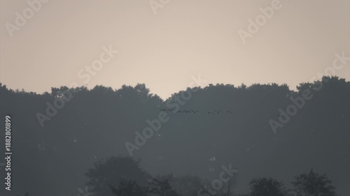 Wallpaper Mural Sunrise scene of birds over a misty lake with ducks cranes and herons flying hunting and crossing glowing fog layers. Torontodigital.ca