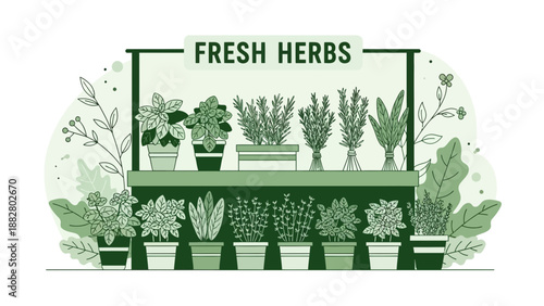 Aromatic Herb Display: Vibrant Illustration of Fresh Herbs, Ready to Use, For Culinary Adventures