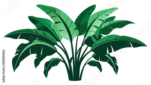 Lush green tropical plant Vector