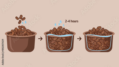 Bean Soaking Process Depicted In Stages Demonstrating Preparation for Culinary Delights