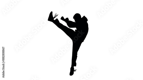 Dynamic silhouette of martial artist performing high kick