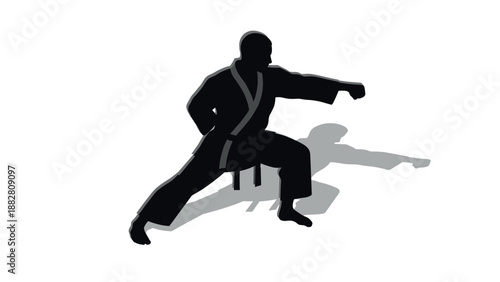 Martial artist silhouette in karate pose with dynamic shadow