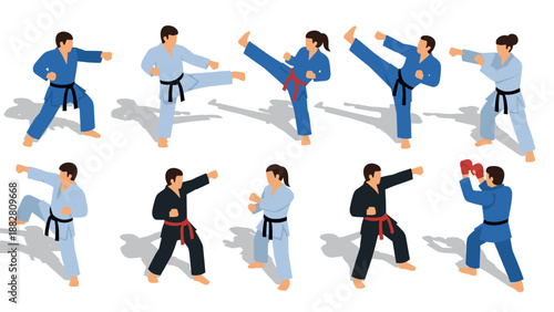 Isometric martial arts sparring with diverse karate and taekwondo techniques