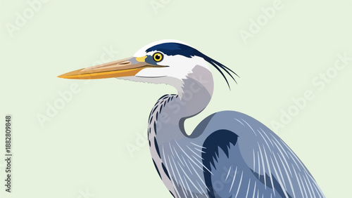 Detailed illustration of a grey heron bird with a long orange beak and yellow eye