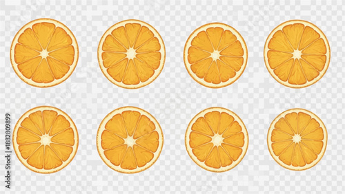 Eight watercolor-style orange slices arranged in two rows of four