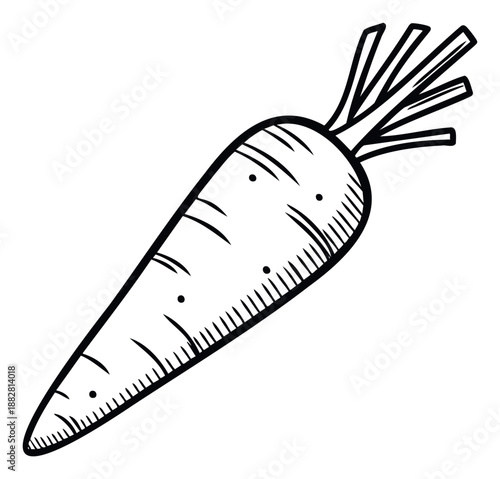 Simple black and white line drawing of a fresh organic carrot root vegetable perfect for healthy eating food blogs and garden supply promotional materials.