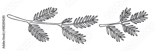 Stylized botanical leaves graphic for organic nature themes and ecofriendly projects, perfect for decorative branding, educational materials, or peaceful background imagery.