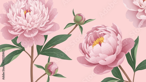 Delicate pink peonies bloom with green leaves on a soft pink background