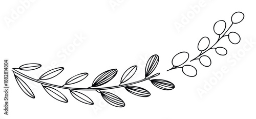 Graceful botanical branch with delicate line leaves for elegant invitations stationery event decorations and wedding design projects