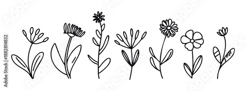 A collection of handdrawn minimalist floral outlines perfect for naturethemed graphic projects, rustic decorations, and elegant botanical designs for invitations or web interfaces