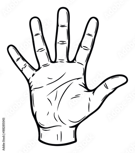 Open hand with palm facing forward and all five fingers fully extended, perfect for communicating stop, high five, or general human interaction concepts in educational materials
