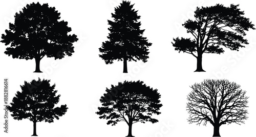 Collection of black silhouettes of different deciduous and evergreen trees with detailed branches and thick foliage isolated on white background,
