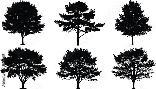Collection of black silhouettes of different deciduous and evergreen trees with detailed branches and thick foliage isolated on white background