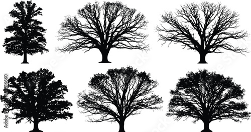 Collection of black silhouettes of large deciduous trees with detailed branches and thick foliage isolated on white background, nature set