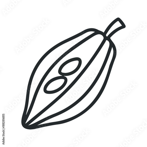 Simple line drawing of a cocoa pod cut in half showing beans isolated on white background, Vector, illustration
