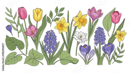 Assortment of Spring Flowers and Greenery.