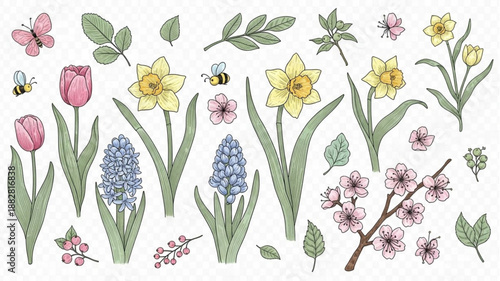 Spring Flowers and Insects Collection Botanical Illustrations.
