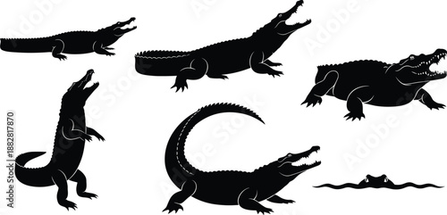 Crocodile silhouettes set, black alligator icons, predatory reptile illustrations, swamp wildlife vector graphics, dangerous semi-aquatic animal symbols isolated on white background