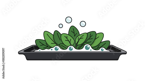 Crisp green leafy vegetables being thoroughly washed in a dark rectangular tray, with gentle bubbles indicating cleanliness and freshness, ideal for