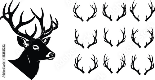 Deer head and antlers silhouette set with multiple horn styles, black wildlife illustration for hunting logos, rustic decor, emblems, badges, and outdoor branding designs