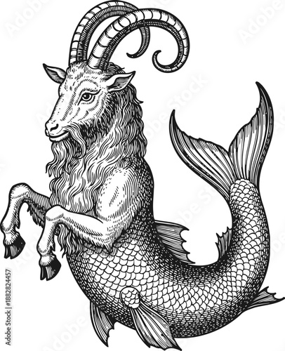 Capricorn zodiac symbol, mythical sea goat with goat head and fish tail, astrology illustration