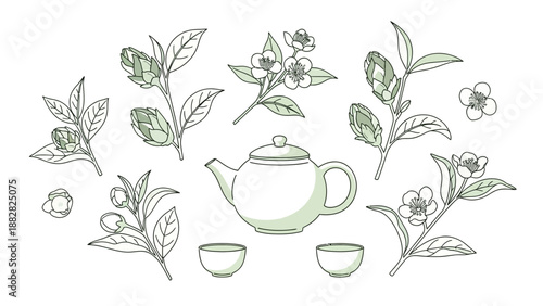Delicate Tea Time Arrangement With Camellia Blossoms And Teapot Illustration