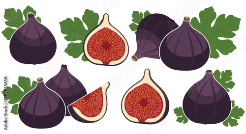 a vibrant illustration showcasing various figs including whole and halved forms surrounded by lush green leaves presented as a silhouette